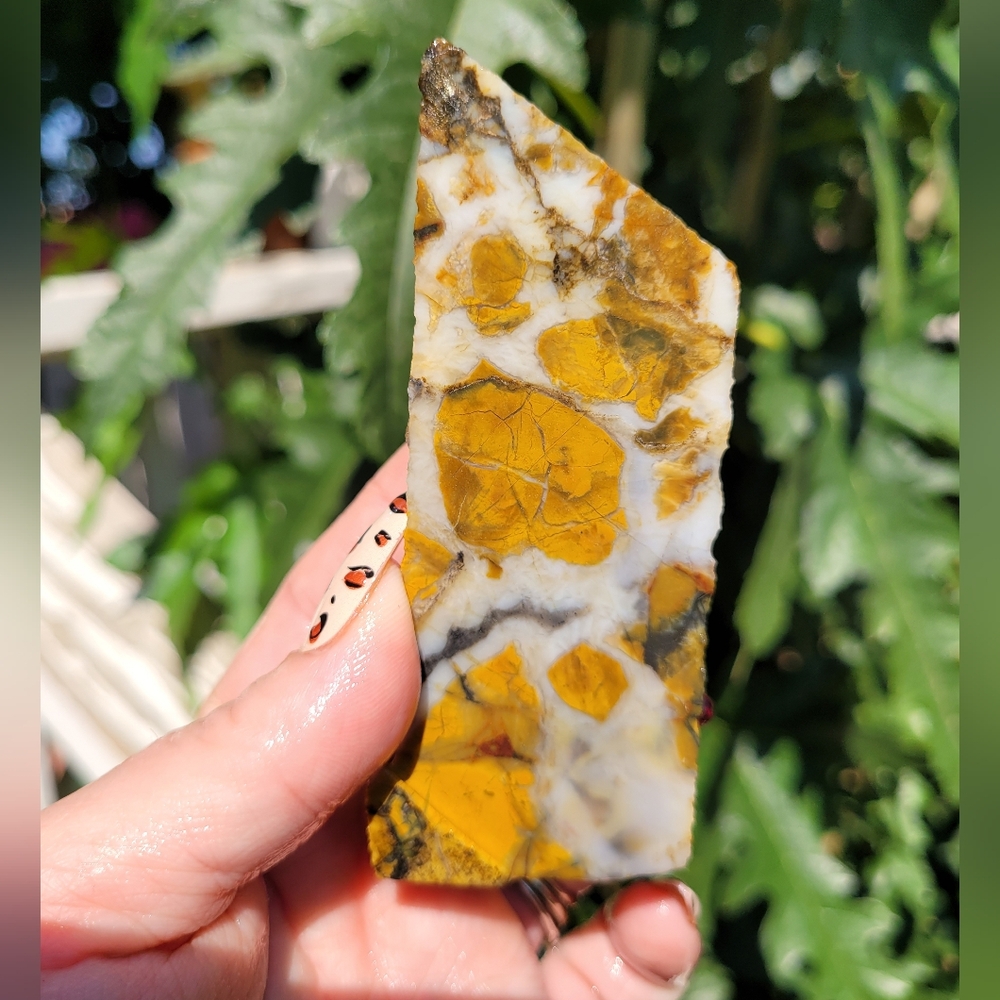 Unique Yellow and White Jasper Stone Slab